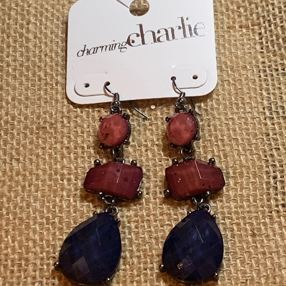 ✨NEW✨ Charming Charlie Earrings